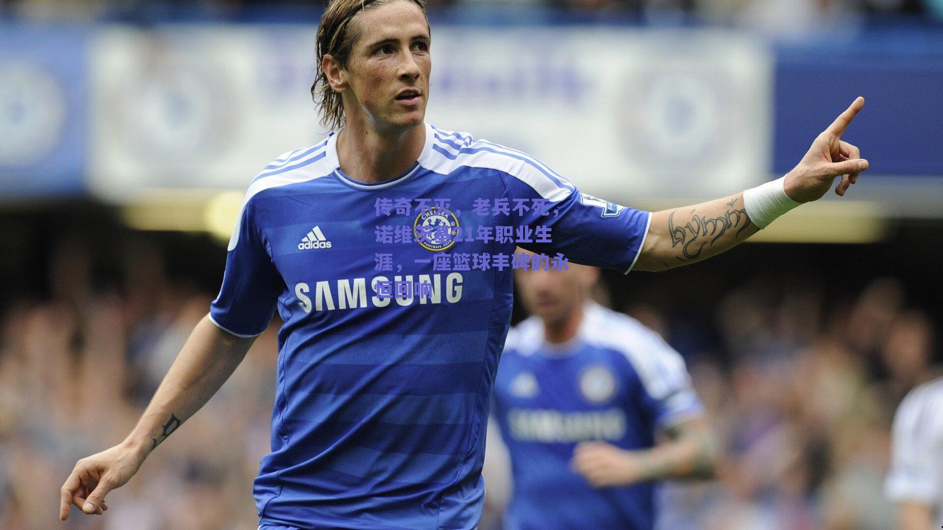 传奇不灭,老兵不死,诺维茨基21年职业生涯,一座篮球丰碑的永恒回响