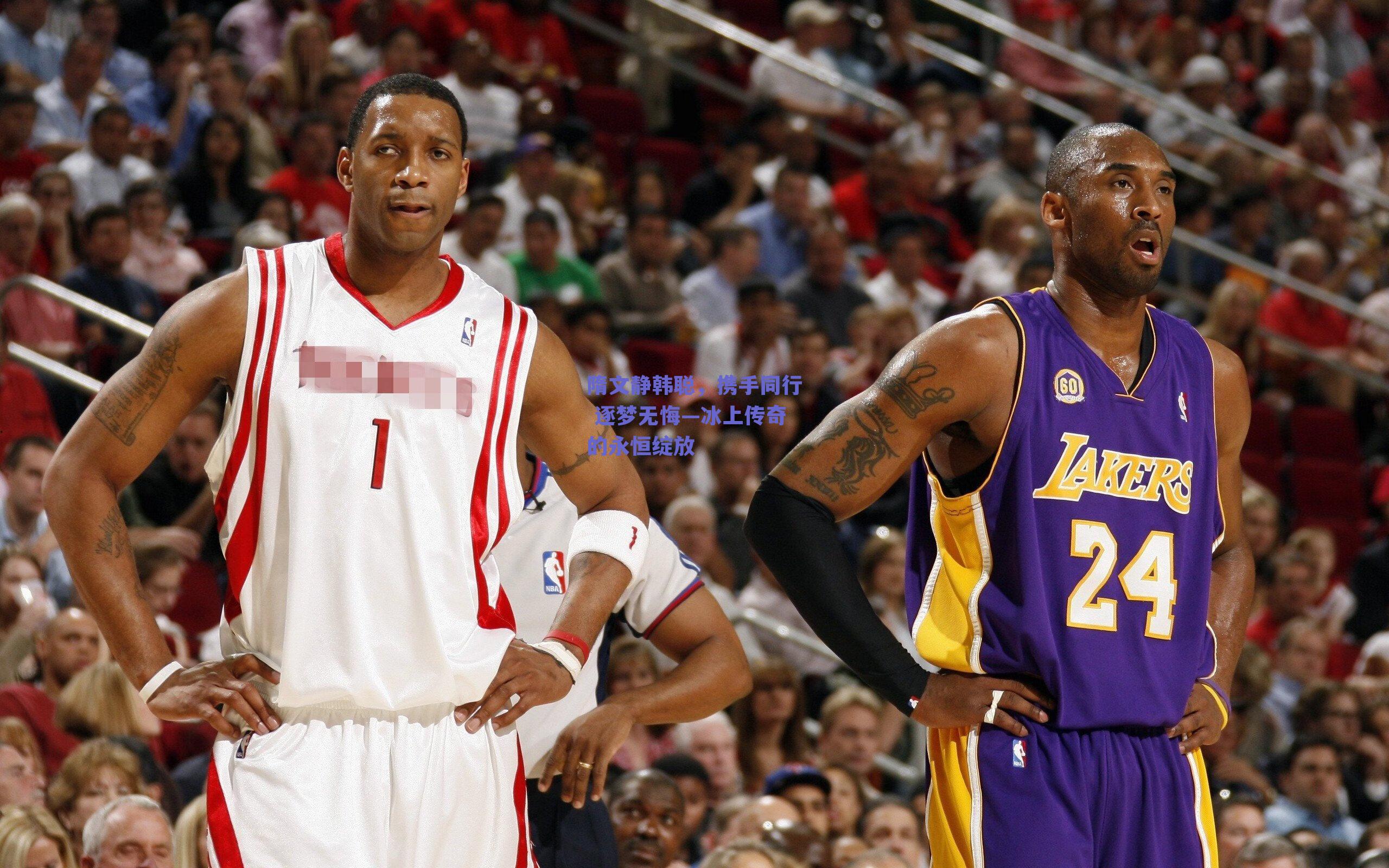 隋文静韩聪，携手同行 逐梦无悔—冰上传奇的永恒绽放